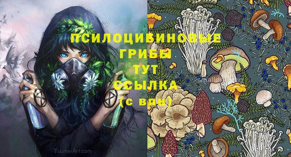 герыч Алексин
