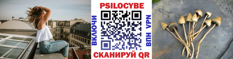 где купить наркоту Северская Галлюциногенные грибы мицелий